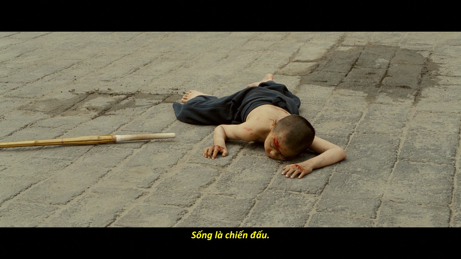 Ninja.Assassin.2009.ViE.BluRay.1080p.DTS-HD.MA.5.1.VC-1.REMUX-FraMeSToR-Vietsub-TM.mkv_snapshot_00.14.02.965.jpg