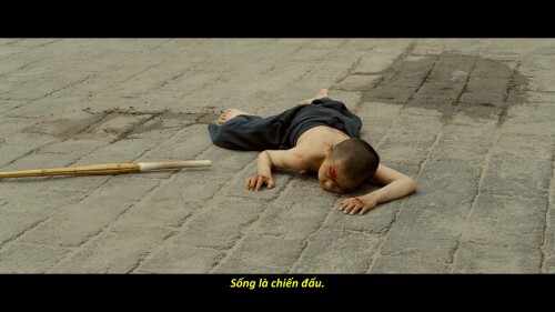 Ninja.Assassin.2009.ViE.BluRay.1080p.DTS-HD.MA.5.1.VC-1.REMUX-FraMeSToR-Vietsub-TM.mkv_snapshot_00.14.02.965.jpg