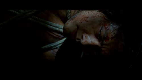 Ninja.Assassin.2009.ViE.BluRay.1080p.DTS-HD.MA.5.1.VC-1.REMUX-FraMeSToR-Vietsub-TM.mkv_snapshot_01.14.48.231.jpg