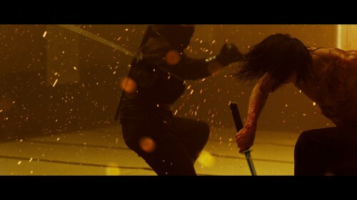 Ninja.Assassin.2009.ViE.BluRay.1080p.DTS-HD.MA.5.1.VC-1.REMUX-FraMeSToR-Vietsub-TM.mkv_snapshot_01.19.37.565.jpg